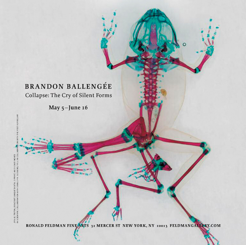 Brandon Ballengée – Collapse: The cry of silent forms