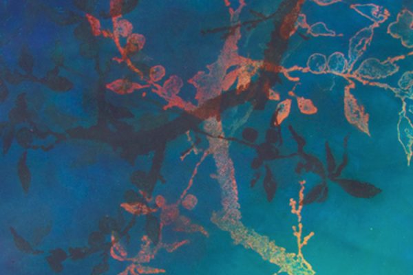 Nature Will Overcome – Exposition Anna Jeretic