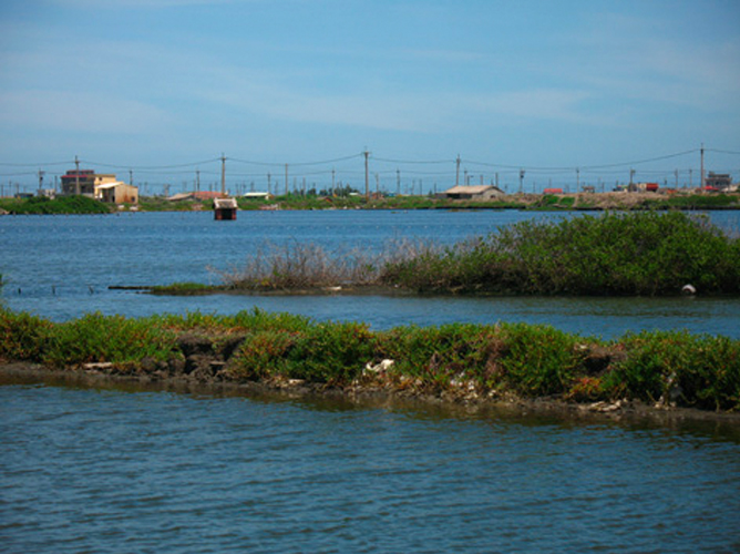 Cheng Long wetlands environmental project in Taiwan – What’s for dinner ? – Call for proposals