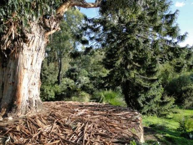 Domaine du Rayol : appel à projets « Land art au coeur des Méditerranées »