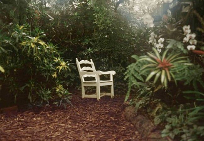 Luigi Ghirri Vienna 1984 da Un piede nell’Eden Cibachrome 35,8 x 48,8 cm ArchivioGhirri collection © Eredi di Luigi Ghirri