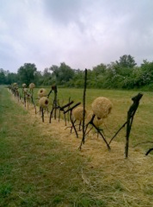 Humus Park, International Meeting of land art artists