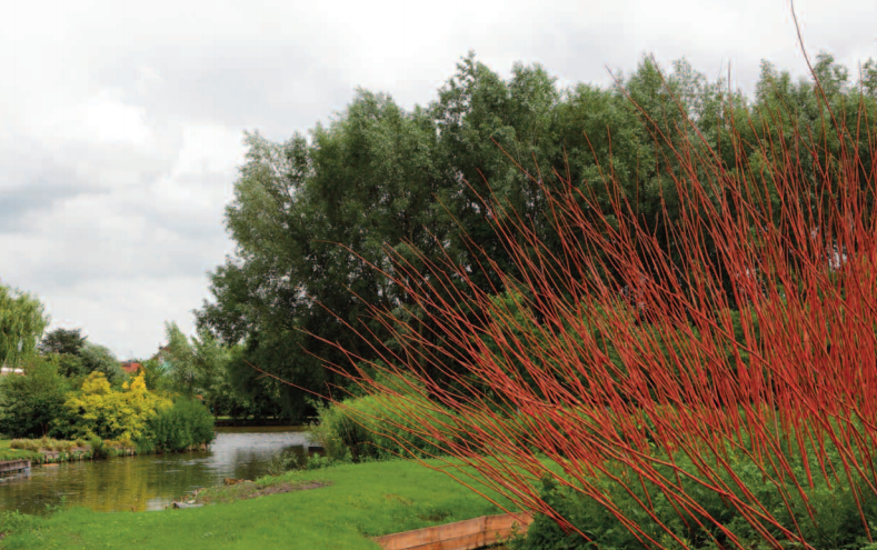 Hortillonnages Amiens 2013 : Appel à projets