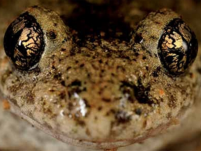 Appel à candidature – Muséum national d’Histoire Naturelle