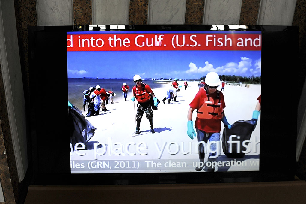 Brandon Ballengée © Laurence Godart