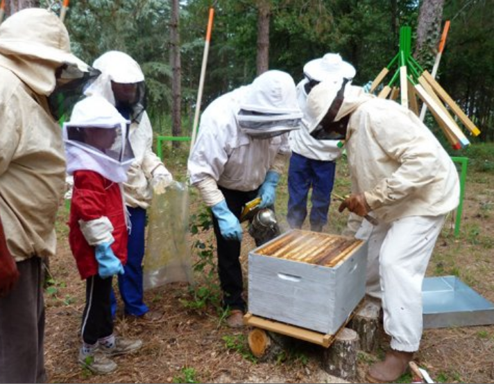 Inauguration – « Le bois de Sharewood » de matali crasset à Nègrepelisse