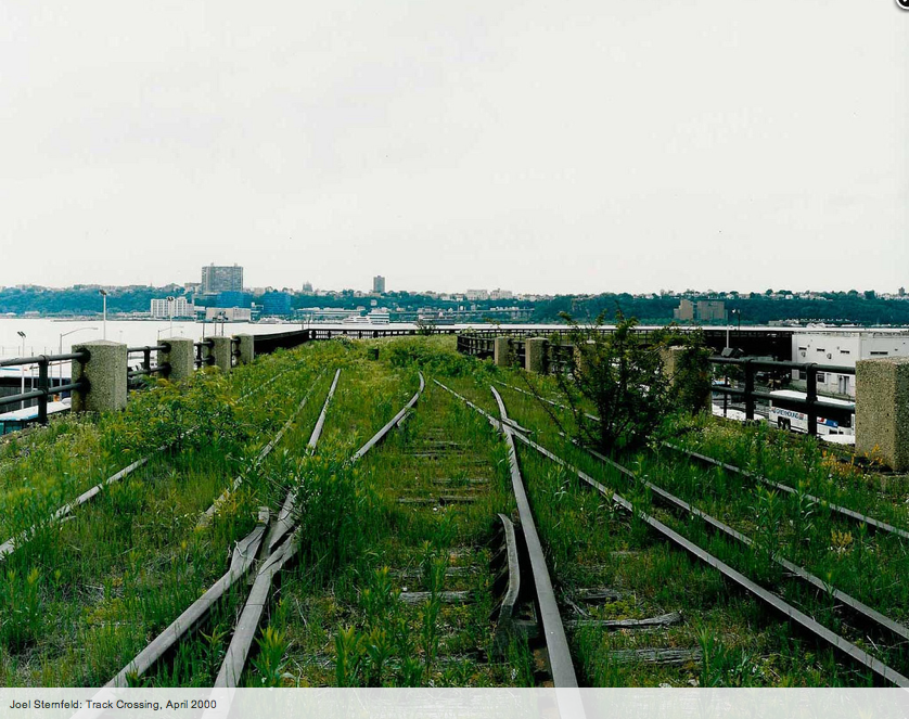 La nature dans la ville, biodiversité et urbanisme