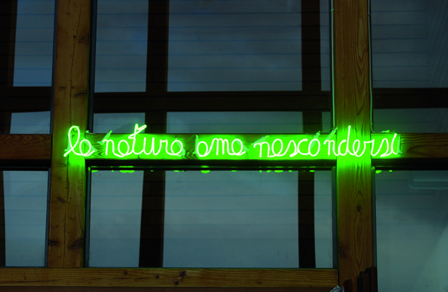 Filippo Leonardi, La natura ama nascondersi, 2012, Installation lumineuse, néons, 120 cm