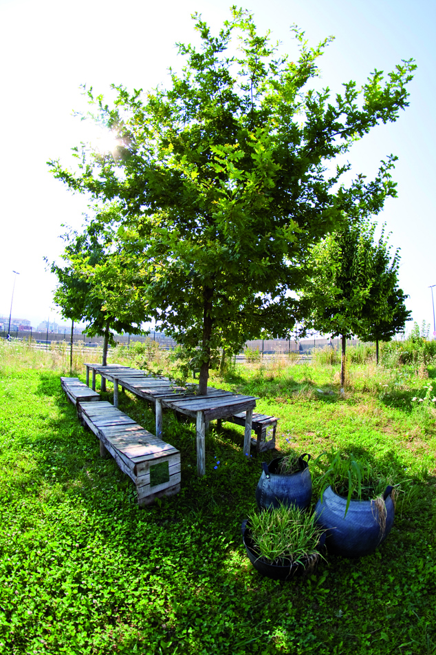 Brigitte de Malau, La table de Circé, 2013, Installation, table faite avec du bois récupéré, des planches de chêne, jarre en pneu recyclé, haut-parleurs, plantes qui poussent spontanément au PAV
