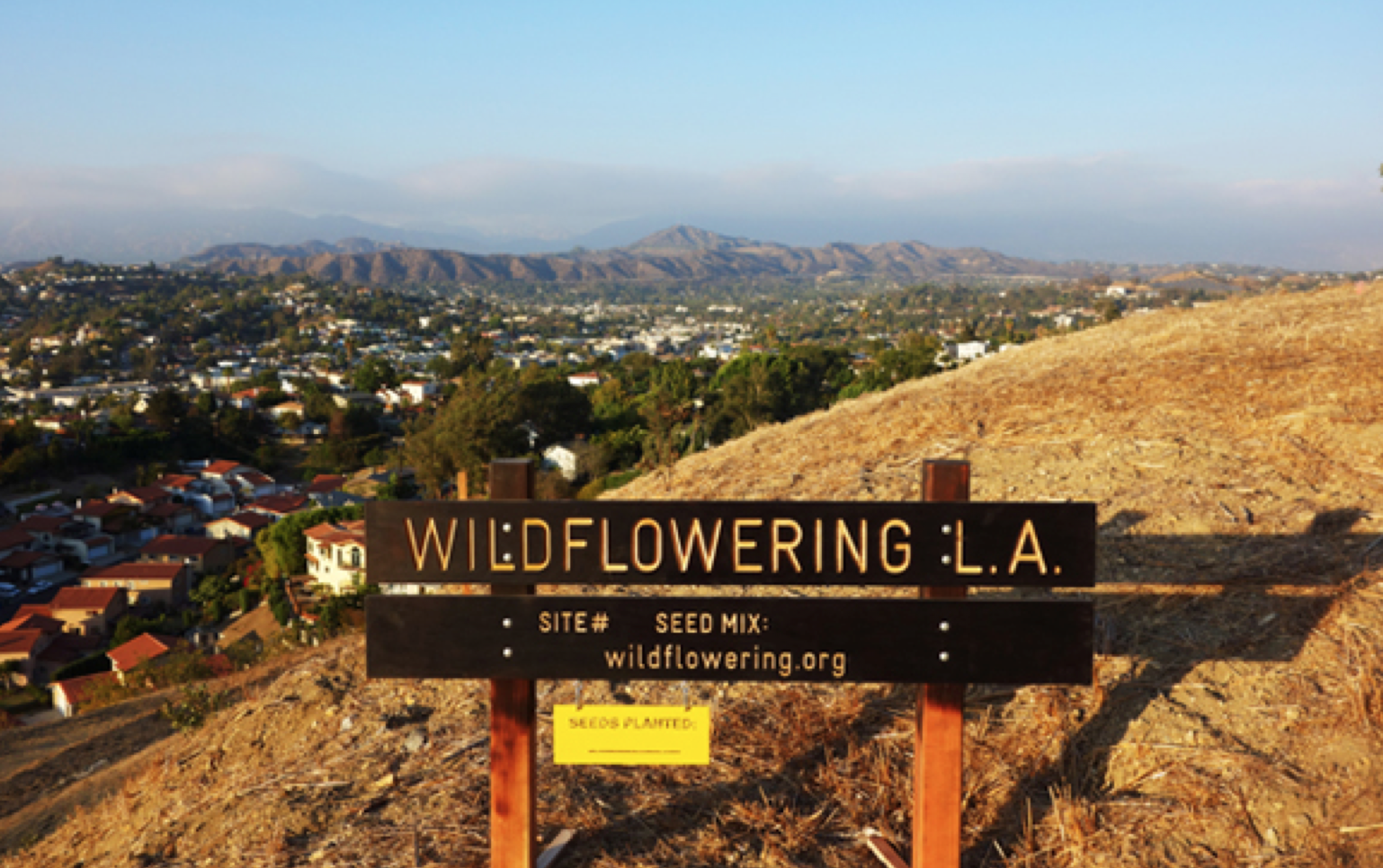 Wildflowering L.A., un project de Fritz Haeg