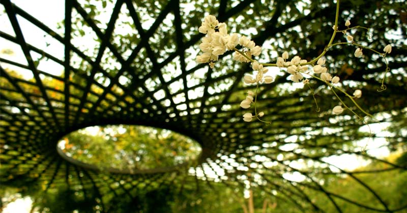 Jardin Botanique de Culiacán