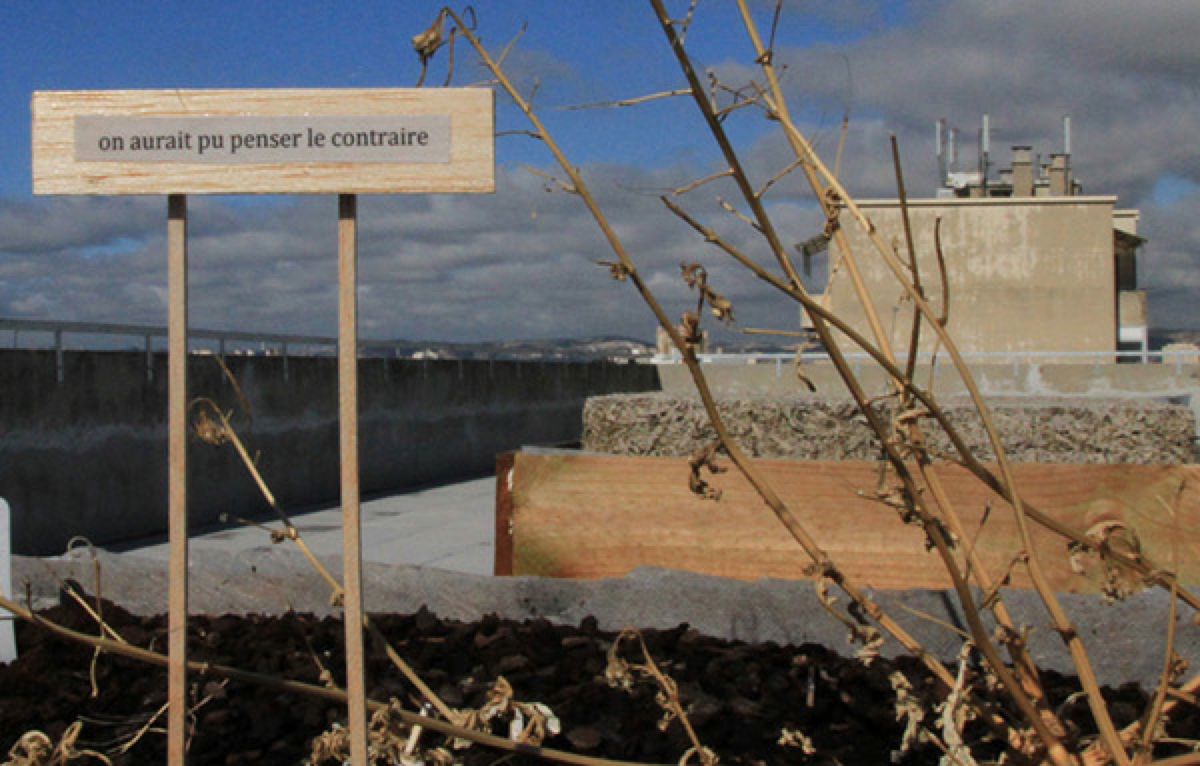 Journée brainstorming « Nature/urbain, vers un « tiers lieu » à Marseille