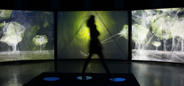 Naziha Mestaoui, One man One tree, LH Forum 2013