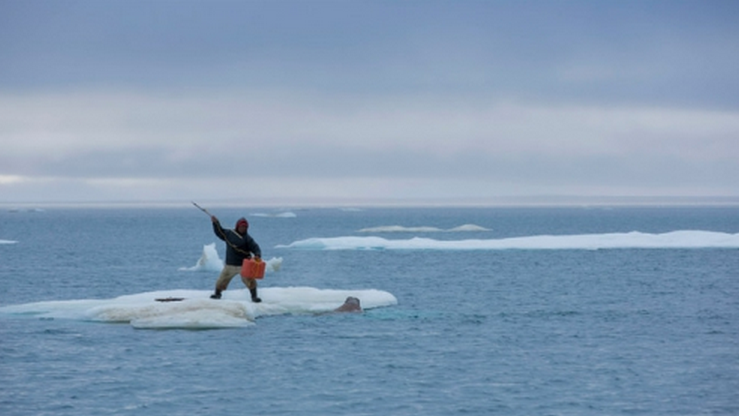 Rencontre : « Le paysage arctique en changement »