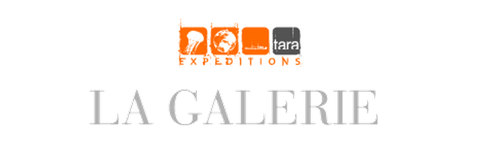 La Galerie de Tara Expéditions