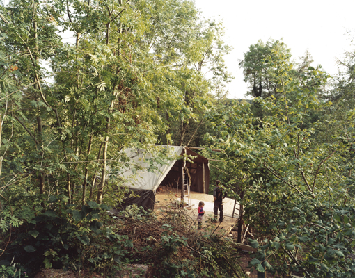 Steward Community Woodland