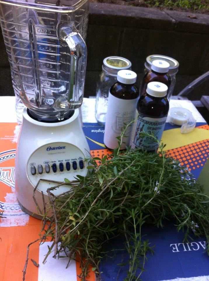 Laboratoire de plantes médicinales de Margaretha Haughwout.