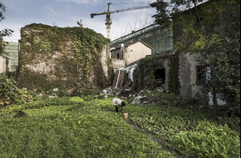 Soutien à l’exposition photographique « Le Meilleur des Mondes » sur les problématiques environnementales