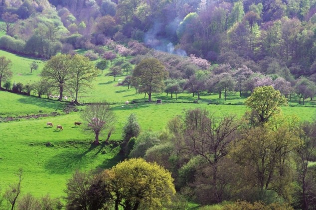 Regard O4 : Nouveaux horizons pour l’Écologie des paysages