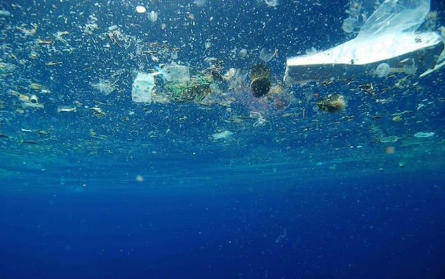 Projection du film « A Plastic Ocean »