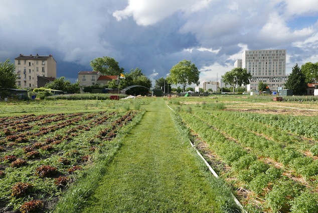 « Farm Camp! », Summer Lab européen Imagine2020