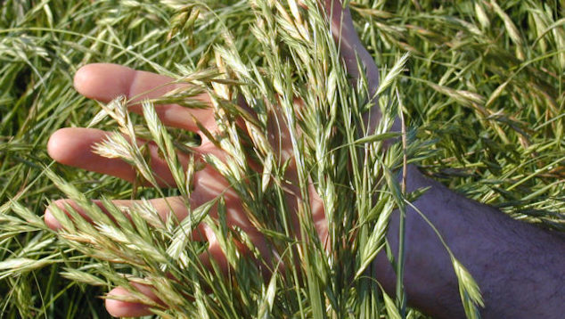 Regard N°74 Caractériser les formes d’agriculture, par Michel Duru et al.