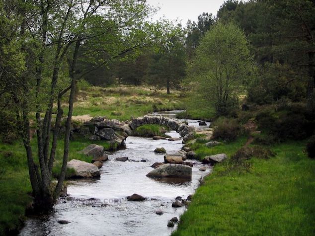 Appel à projet et résidence « Conception d’aires de Bivouac écologique »