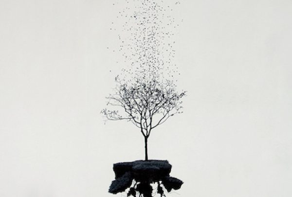 Exposition L’Art par Nature