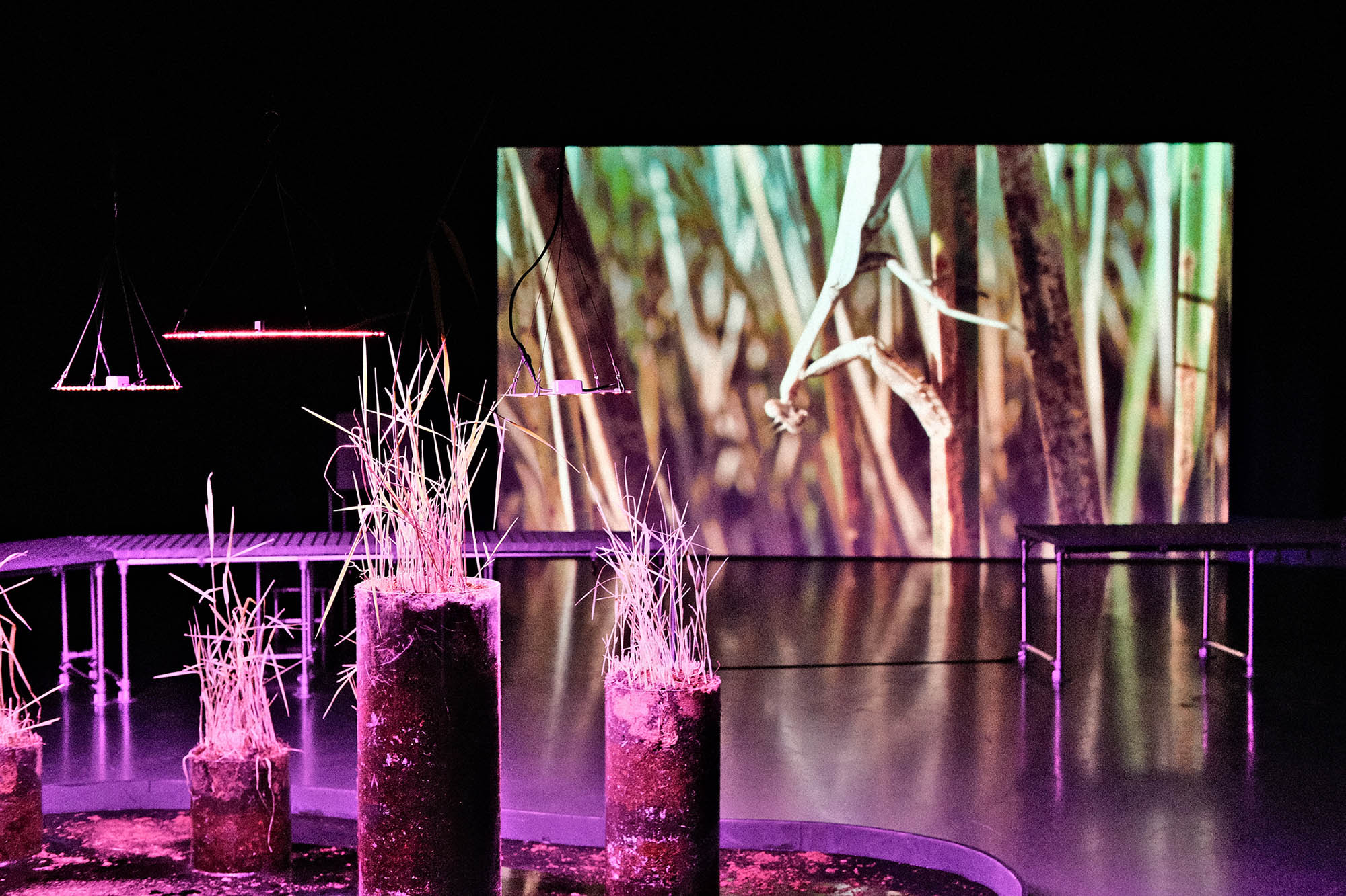 Elise Eeraerts & Roberto Aparicio Ronda – The Starlight Dims Its Blissful Gaze, The Springs Are Steaming – We Descend in Haze – Kunstverein Arnsberg