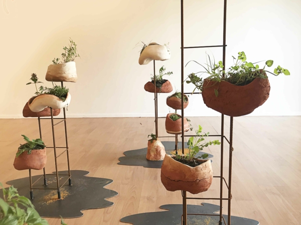 La ou la nature persiste – Minerva