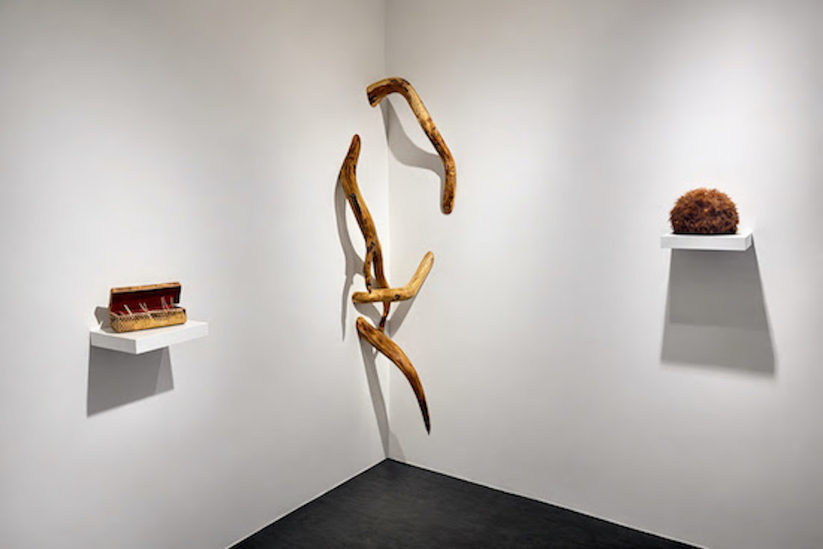 Polyfaunie Polyflorie – La galerie By Lara Sedbon