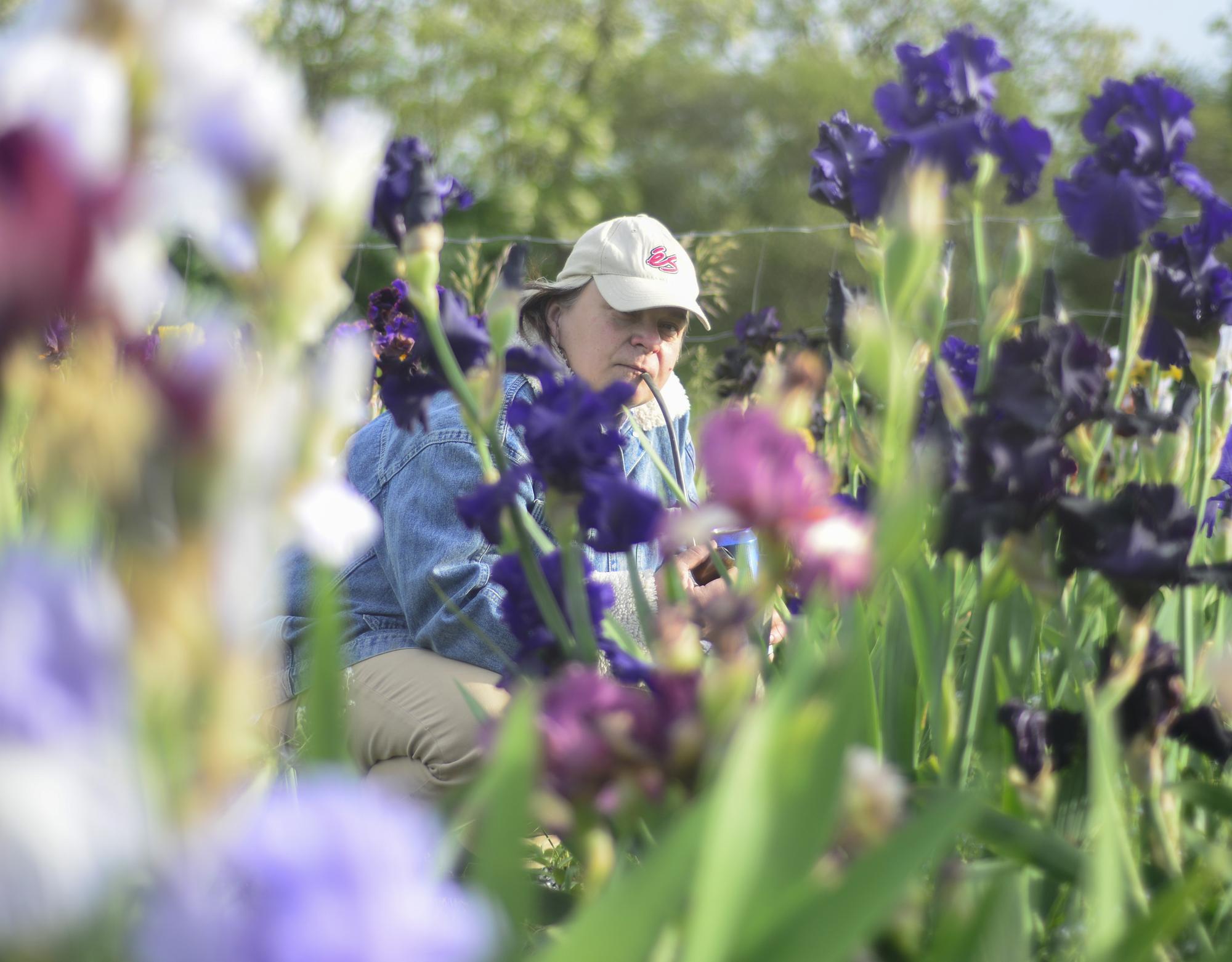 The Queer and Other Beds in the Rainbow Garden and the Joy of Unsolicited Gardening in Public Space – Le Centre for Art and Ecology