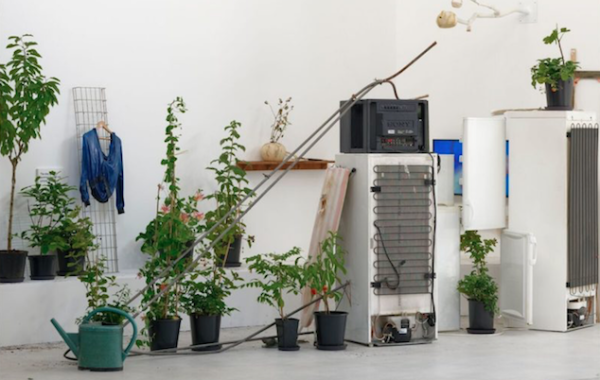 Exposition « Ring, Sing and Drink for Trespassing » de Laure Prouvost