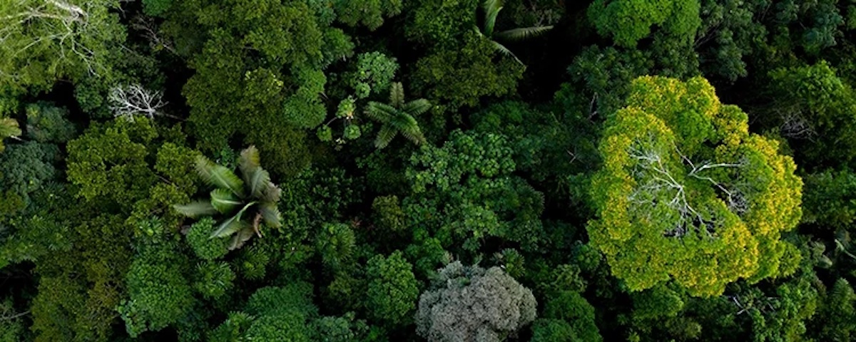 AUTO-EVALUATION – IIEB – L’Indicateur d’Interdépendance de l’Entreprise à la Biodiversité