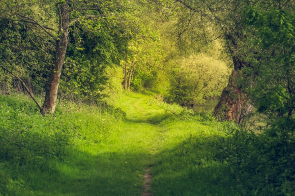 APPEL À PROJETS – NATURE, VIVANT ET IMAGINAIRE